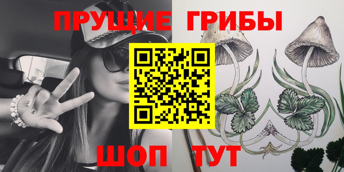 Зеленогорск  Галлюциногенные грибы Psilocybine cubensis  Вход с VPN 